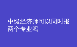 中级经济师可以同时报两个专业吗