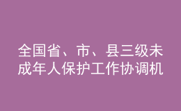 全国省、市、县三级未成年人保护工作协调机制实现全覆盖