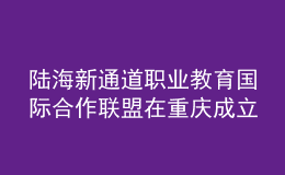 陆海新通道职业教育国际合作联盟在重庆成立