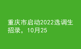 重庆市启动2022选调生招录，10月25日至11月3日报名