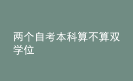 两个自考本科算不算双学位