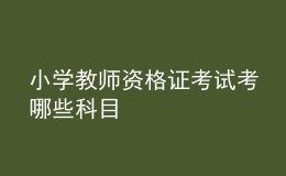 小学教师资格证考试考哪些科目