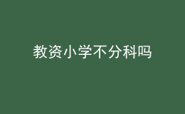 教资小学不分科吗