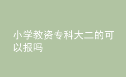 小学教资专科大二的可以报吗