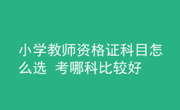 小学教师资格证科目怎么选 考哪科比较好