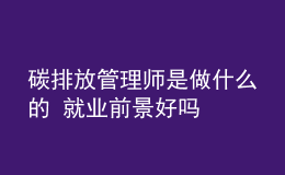 碳排放管理师是做什么的 就业前景好吗