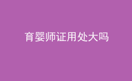 育婴师证用处大吗
