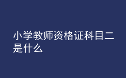 小学教师资格证科目二是什么