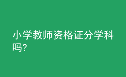 小学教师资格证分学科吗?