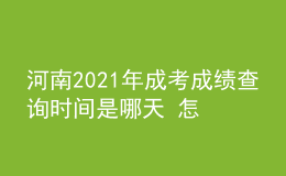 河南2021年成考成绩查询时间是哪天 怎么查