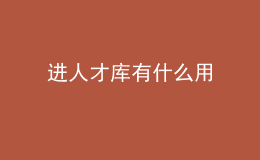 进人才库有什么用