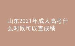 山东2021年成人高考什么时候可以查成绩