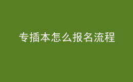 专插本怎么报名流程