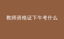 教师资格证下午考什么