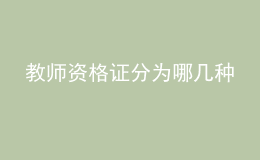 教师资格证分为哪几种