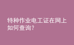 特种作业电工证在网上如何查询？