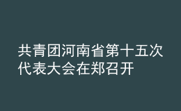 共青团河南省第十五次代表大会在郑召开