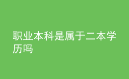 职业本科是属于二本学历吗