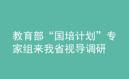 教育部“国培计划”专家组来我省视导调研