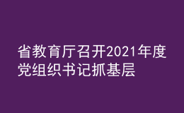 省教育厅召开2021年度党组织书记抓基层党建工作述职评议会议