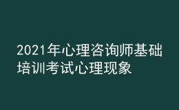 2021年心理咨询师基础培训考试心理现象的学习经验