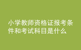 小学教师资格证报考条件和考试科目是什么