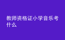 教师资格证小学音乐考什么