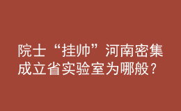 院士“挂帅”河南密集成立省实验室为哪般？