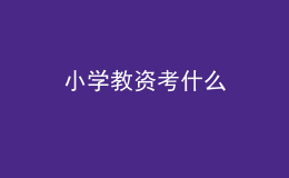 小学教资考什么