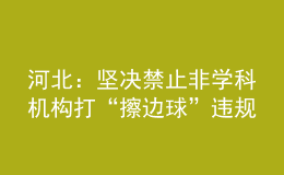 河北：坚决禁止非学科机构打“擦边球”违规开展学科类培训