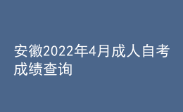 安徽2022年4月成人自考成绩查询