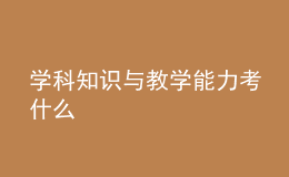 学科知识与教学能力考什么