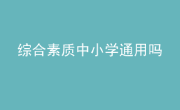 综合素质中小学通用吗