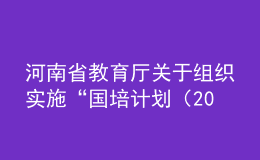 河南省教育厅关于组织实施“国培计划（2020）” ——河南省中小学幼儿园教师培训项目的通知
