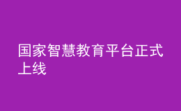 国家智慧教育平台正式上线