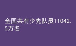 全国共有少先队员11042.5万名