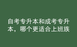 自考专升本和成考专升本，哪个更适合上班族？ 