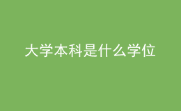 大学本科是什么学位