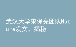 武汉大学宋保亮团队Nature发文，揭秘降脂新策略！