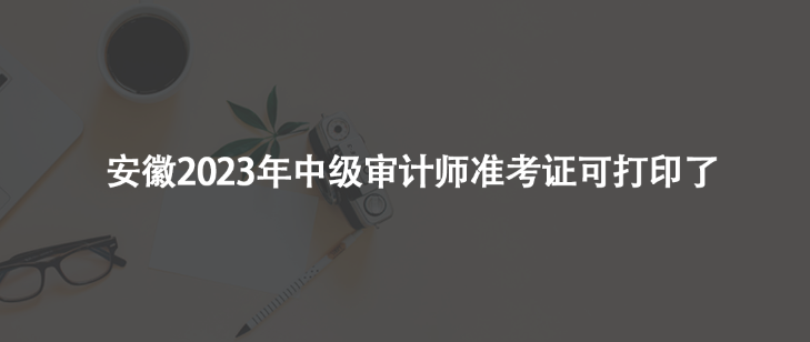 安徽2023年中级审计师准考证可打印了