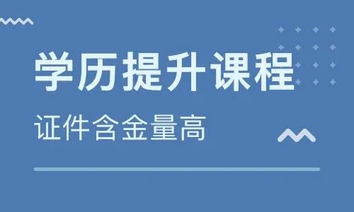 成人本科自考哪个科目吃香 