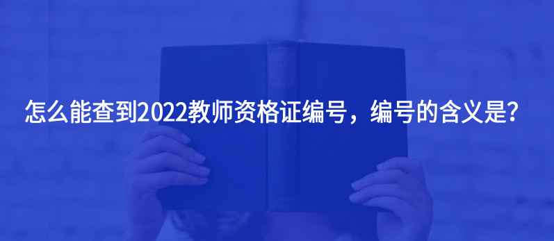 怎么能查到2022教师资格证编号，编号的含义是？