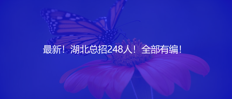 最新！湖北总招248人！全部有编！